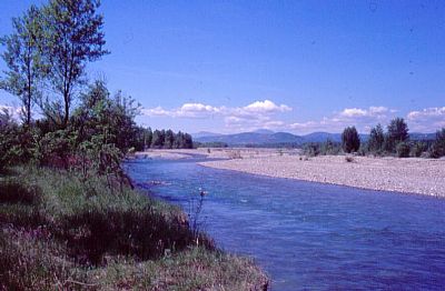 Parco del Taro